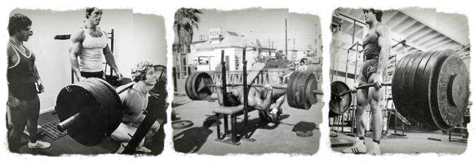 squat bench deadlift