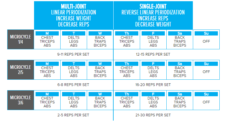 Jim Stoppani's Six-Week Shortcut To Shred