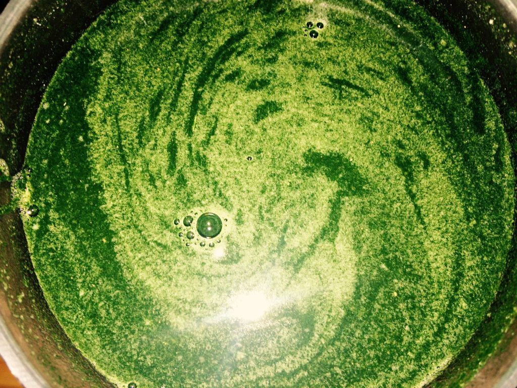 The Protein Works Super Greens