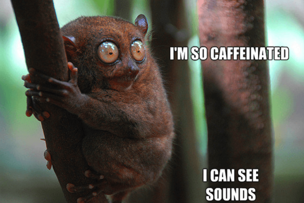 i'm so caffeinated i can see sounds