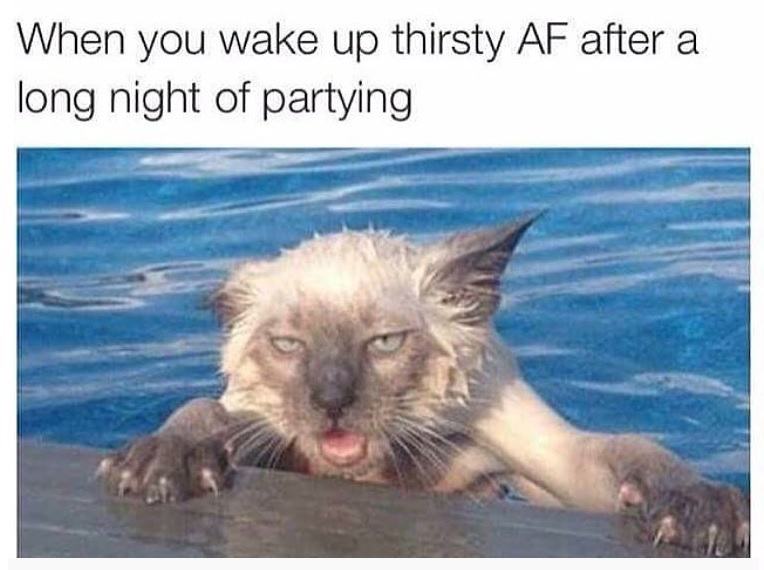 when you wake up thirsty af after a long night partying
