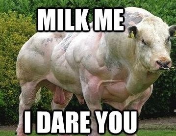 milk me meme