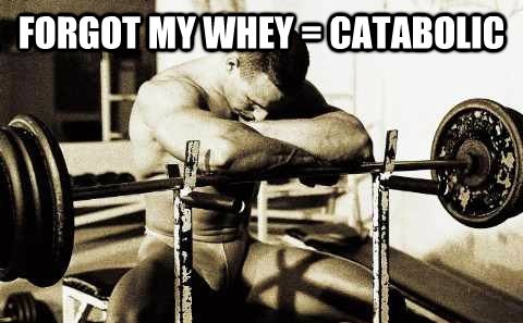forgot my whey catabolic