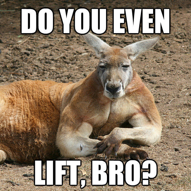 MuscleFood Kangaroo Steak