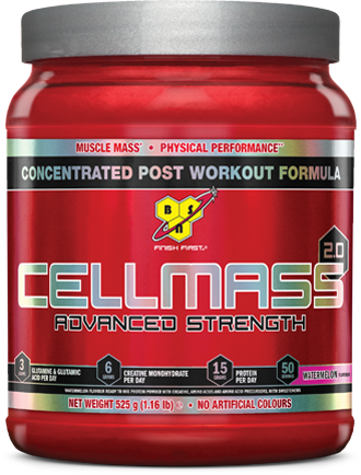 BSN CELLMASS 2.0 Review