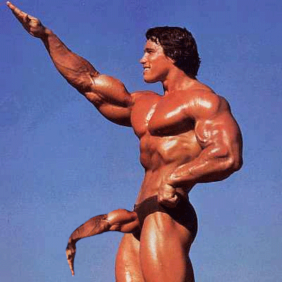 arnold schwarzenegger mini erection gif