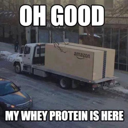 protein meme