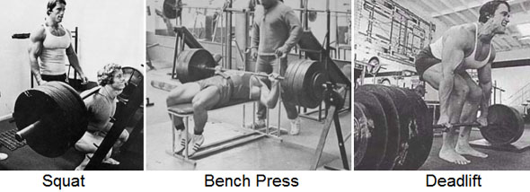 squat bench dead