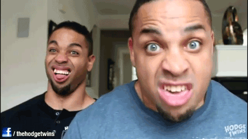 hodge twins gif funny