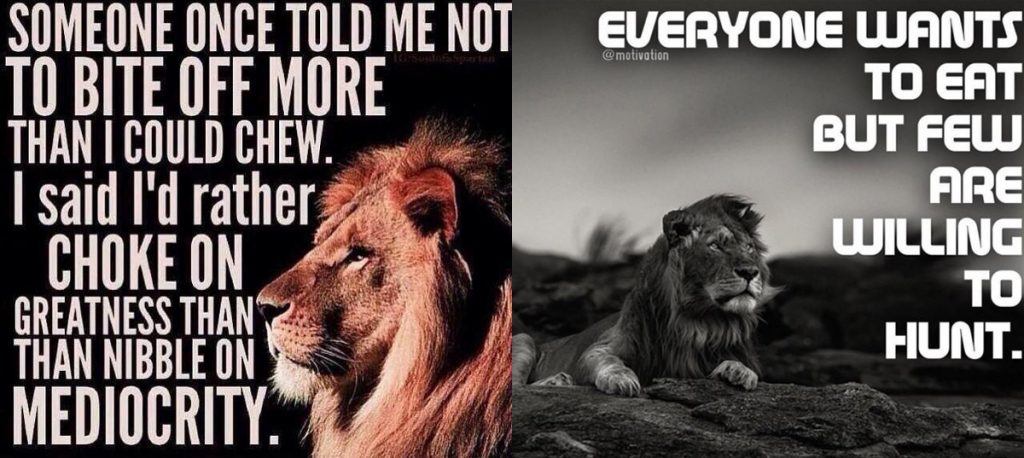 fitness lion meme